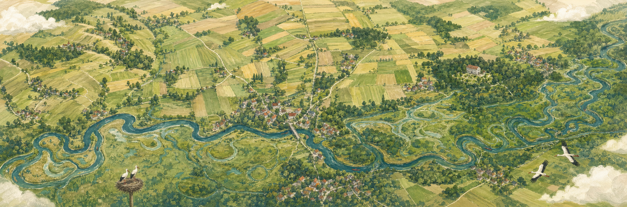 Ilustrowana mapa Doliny Narwi od Nagórek przez Piątnicę do Drozdowa